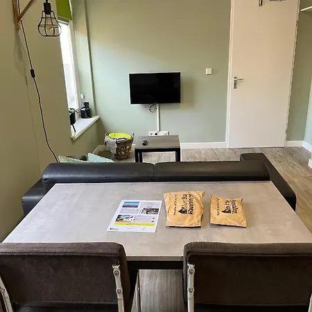 瓦赫宁根短期住公寓 *